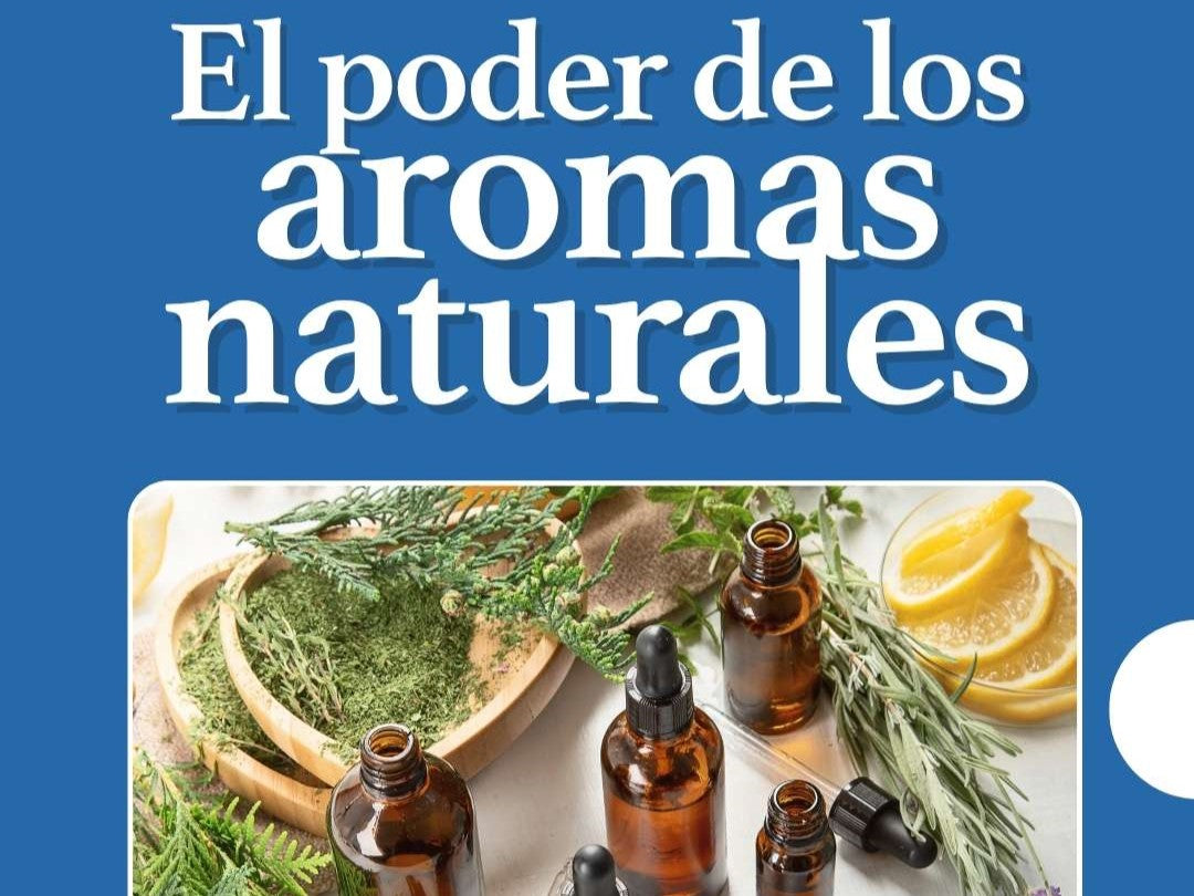 El poder de los aromas naturales: cómo los perfumes vegetales transforman tu estado de ánimo