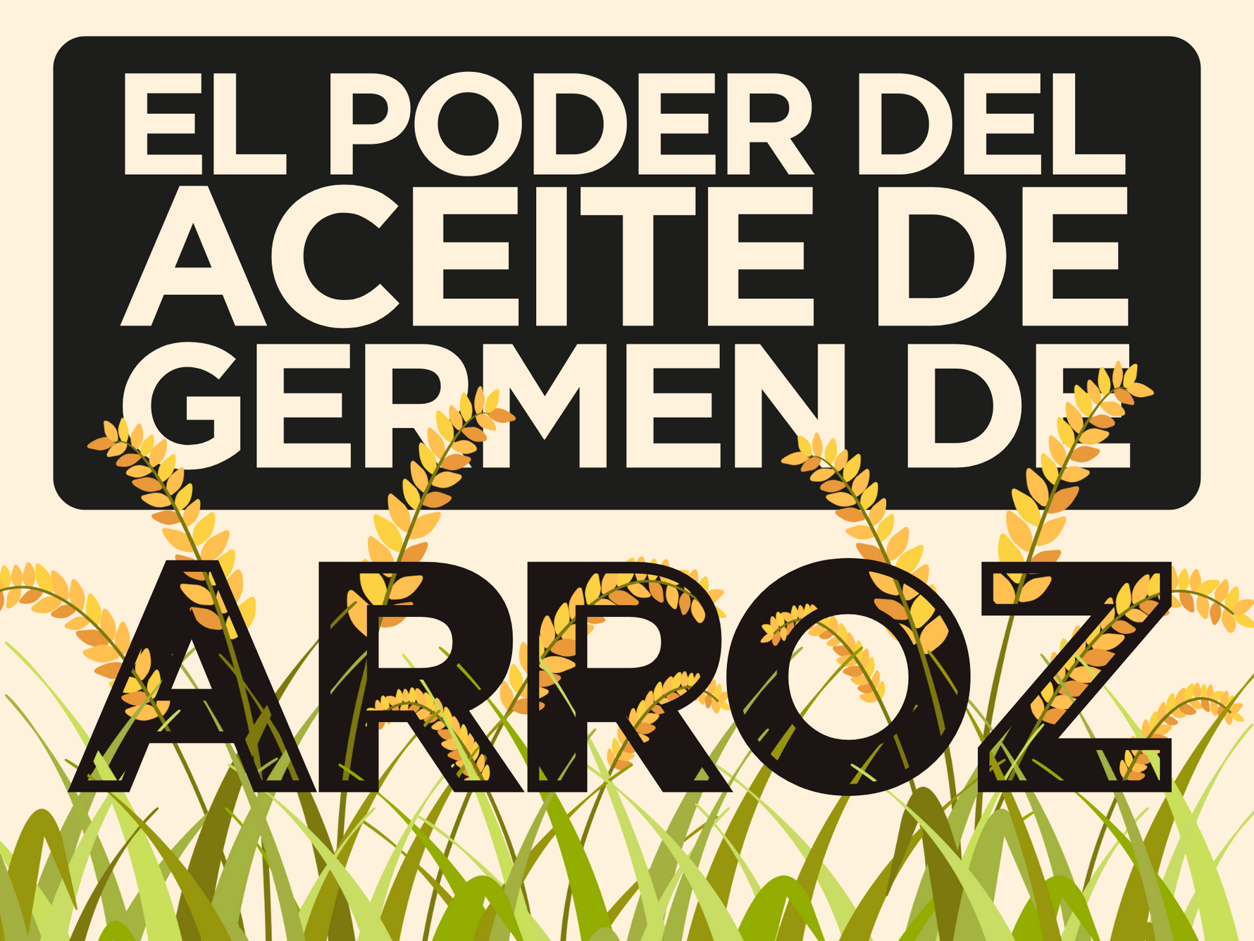 El poder del aceite de germen de arroz: tradición, ciencia y sostenibilidad en tu piel