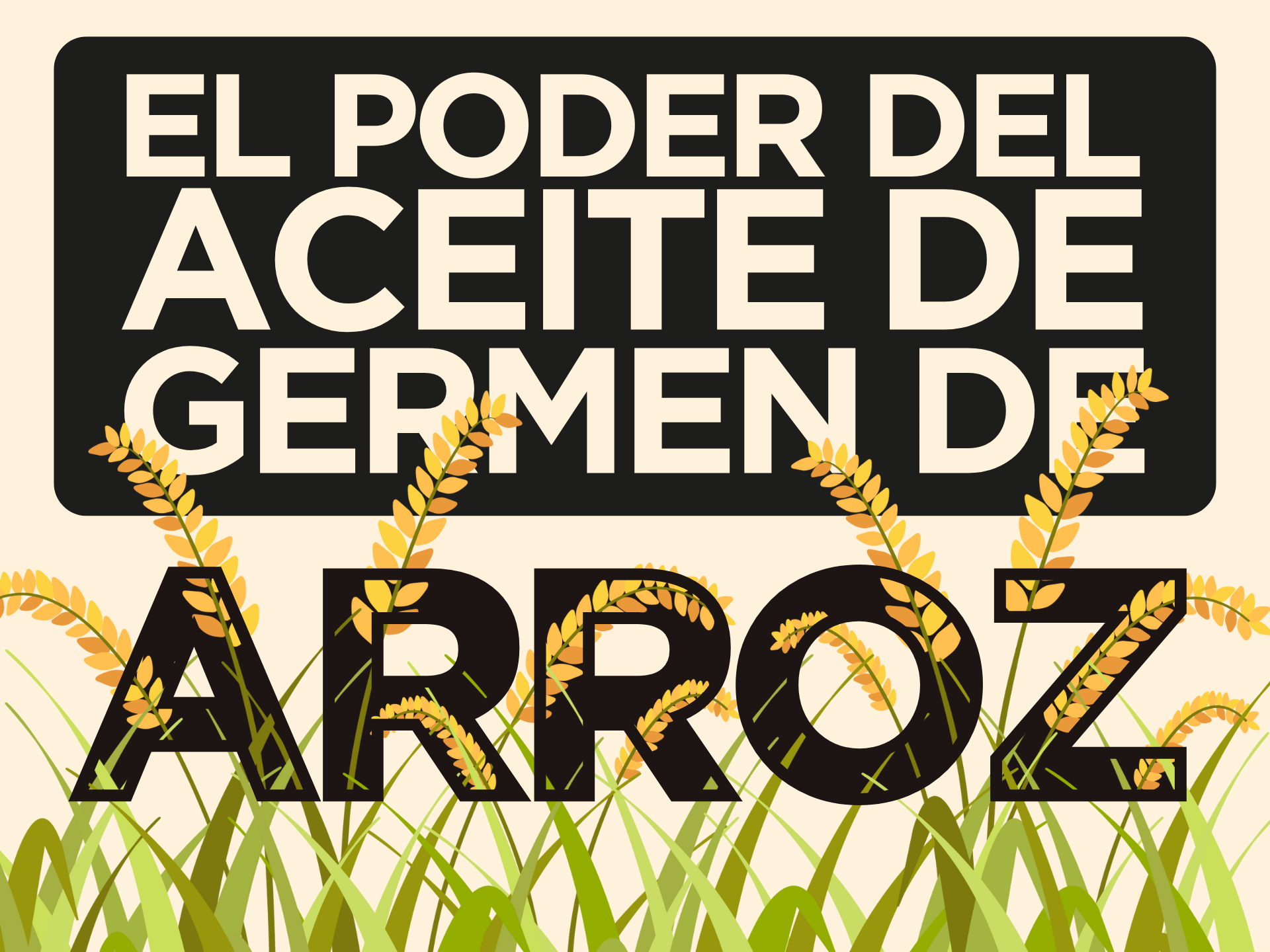 El poder del aceite de germen de arroz: tradición, ciencia y sostenibilidad en tu piel